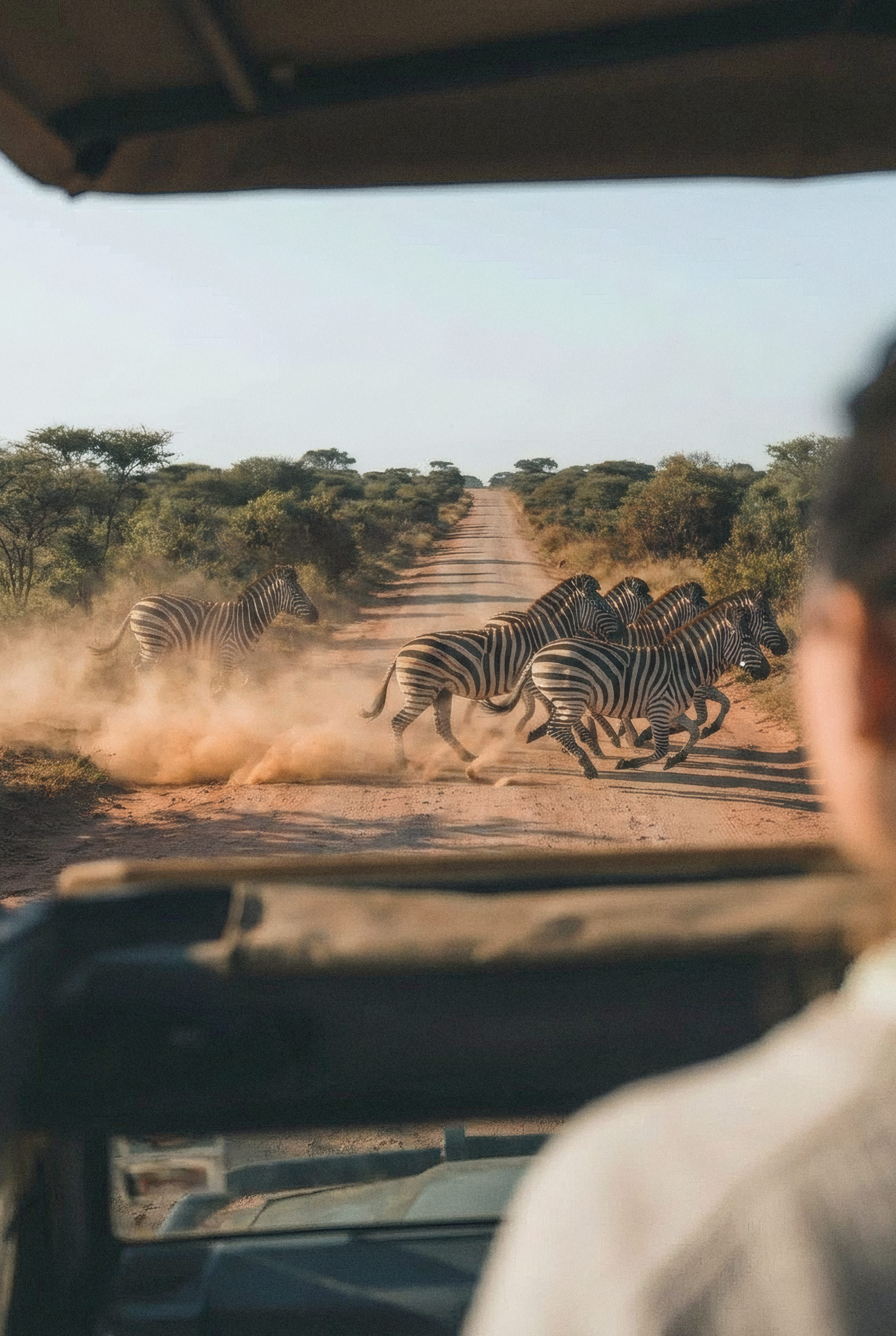Maasai Mara