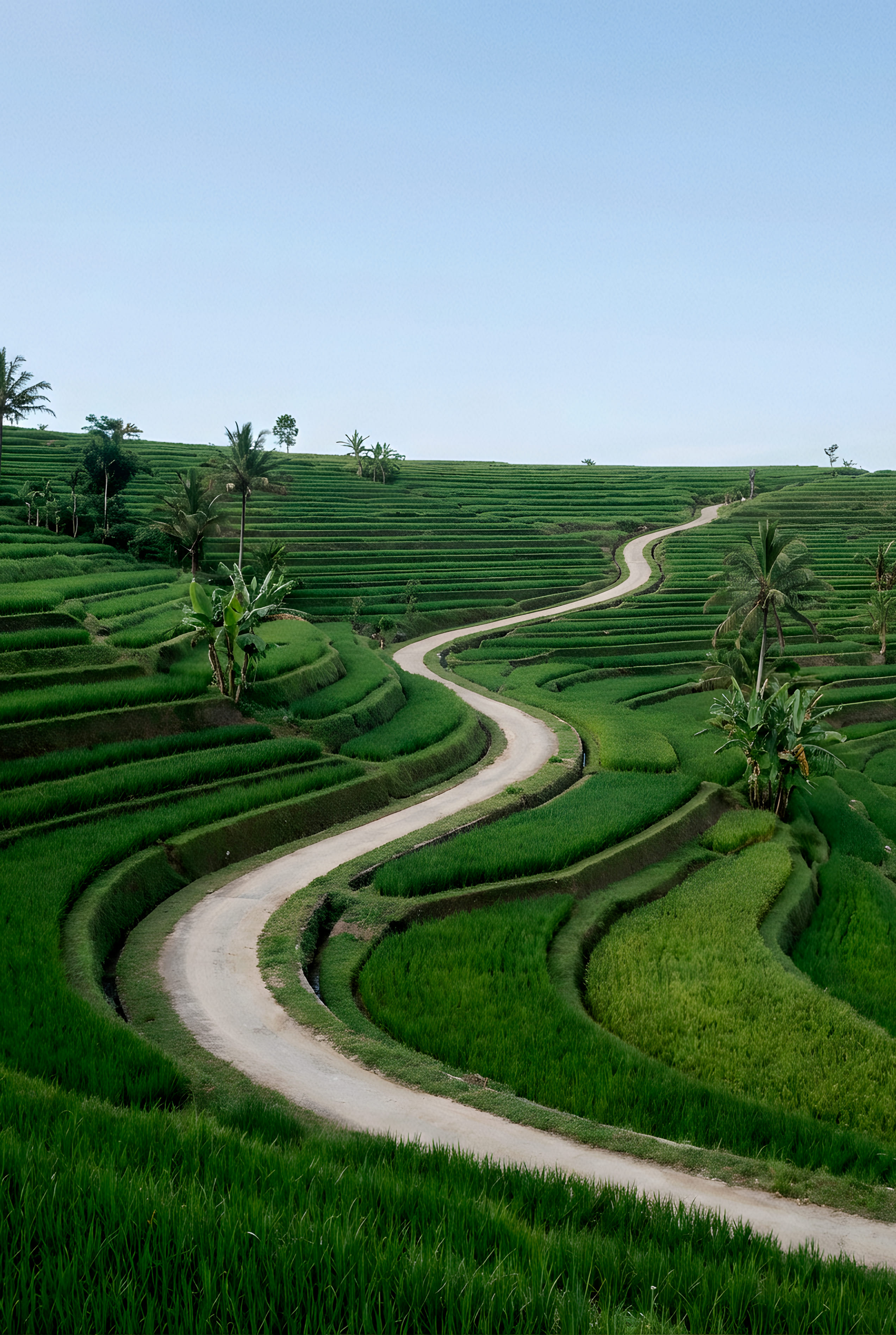 Bali