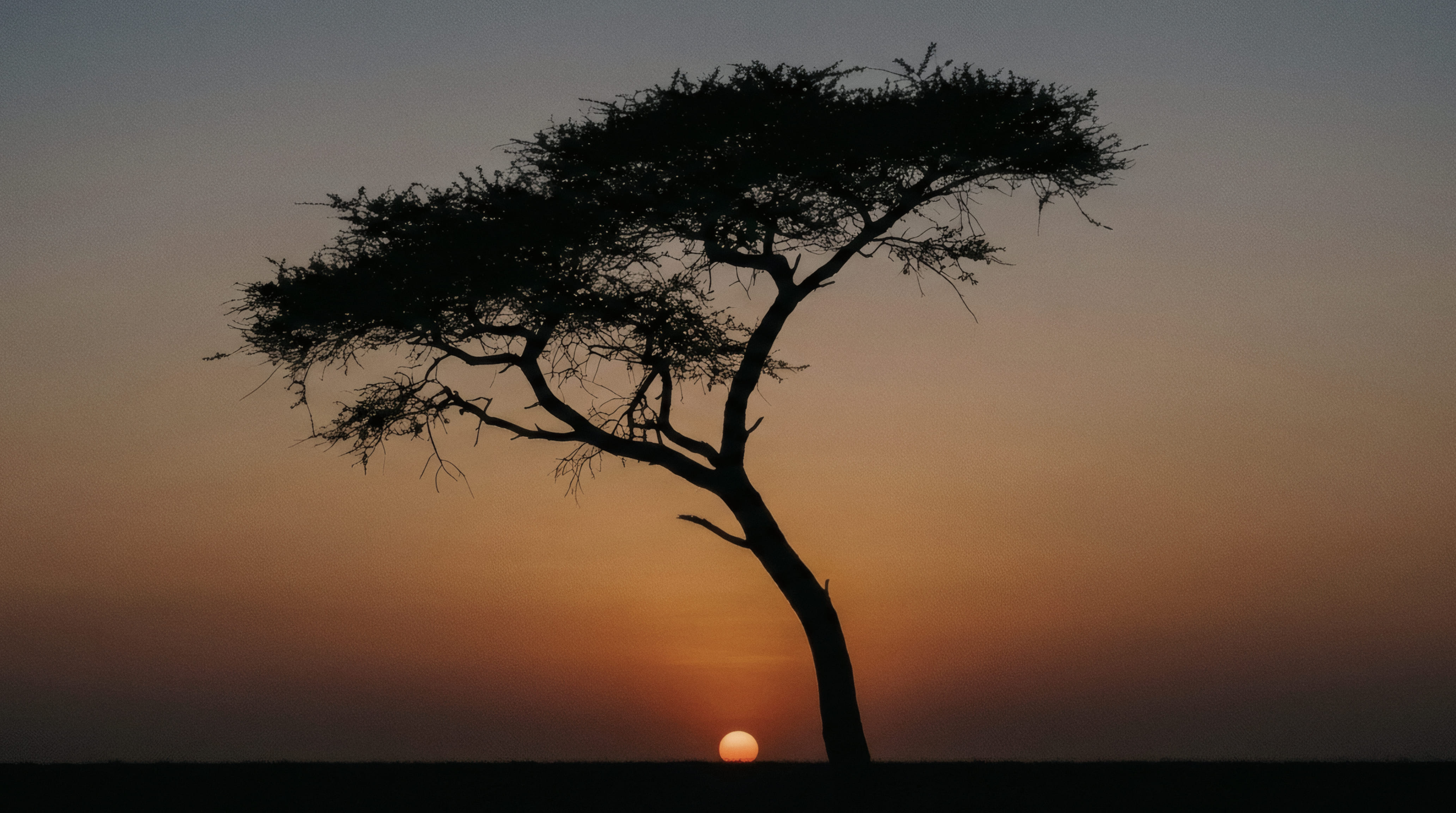 Kenia