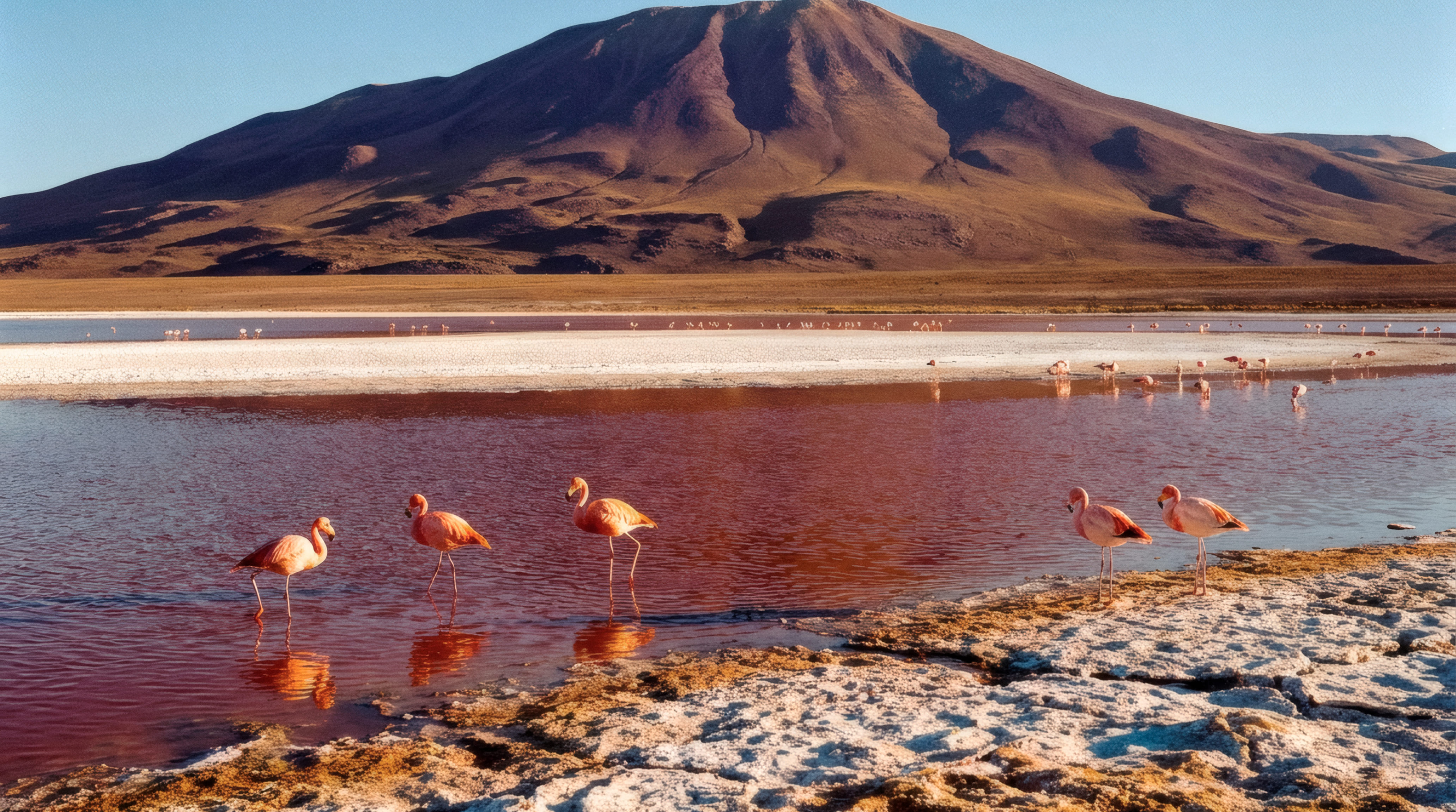 Bolivia