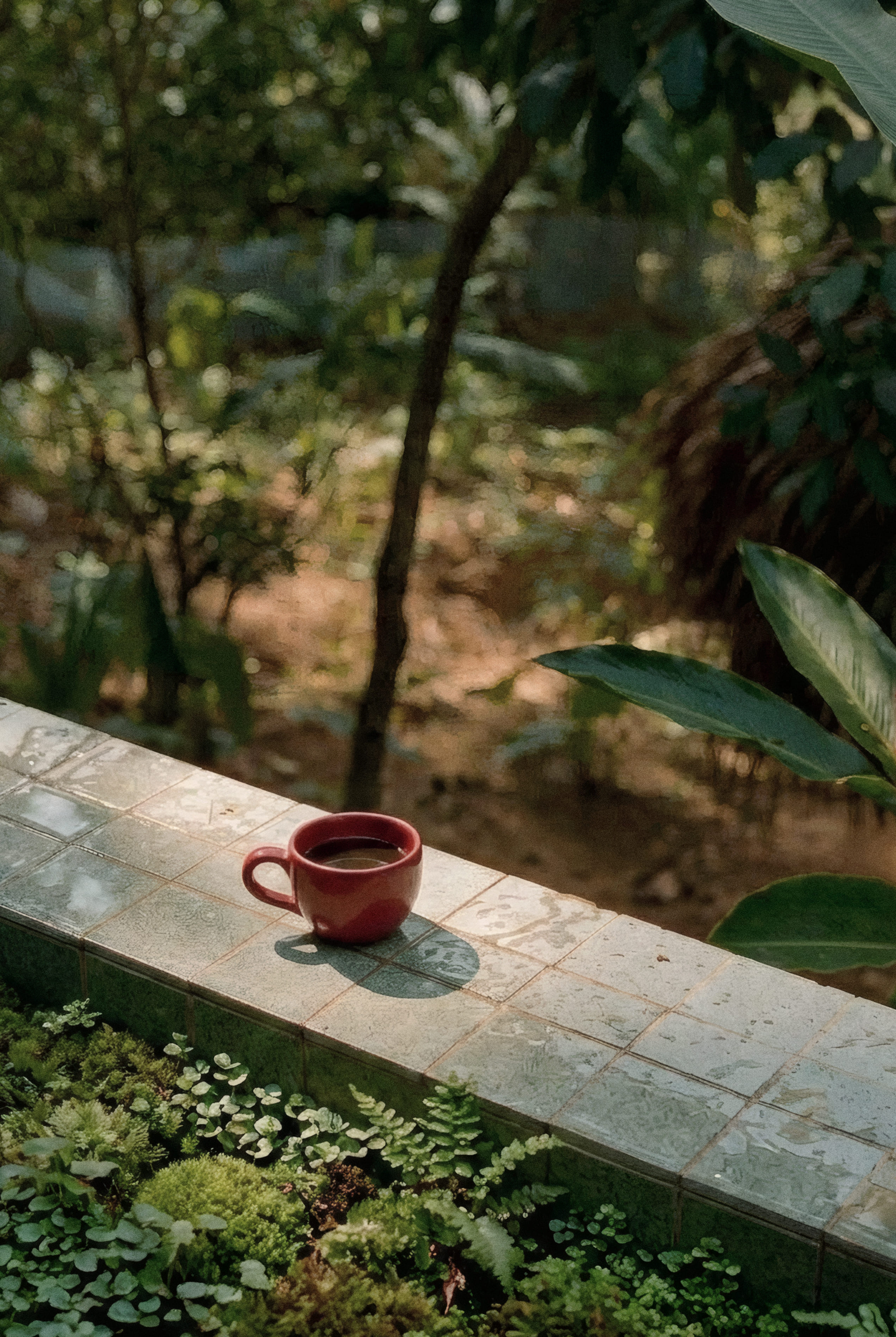 Aroma - 3