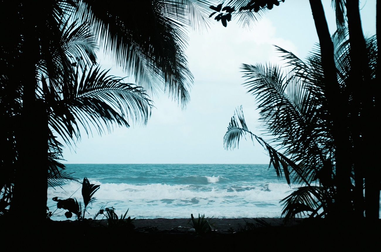 Pura Vida - 1