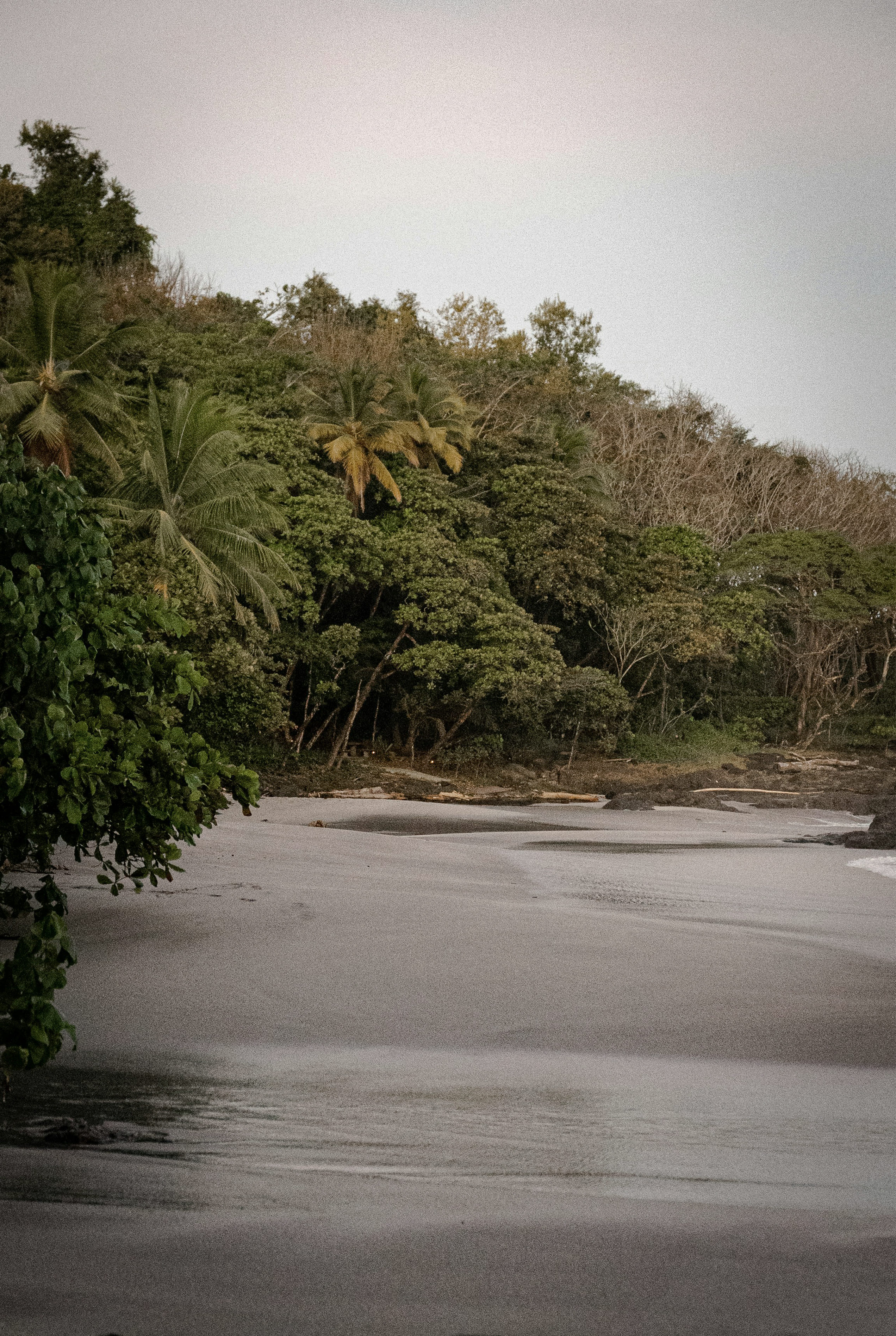 Pura Vida - 3