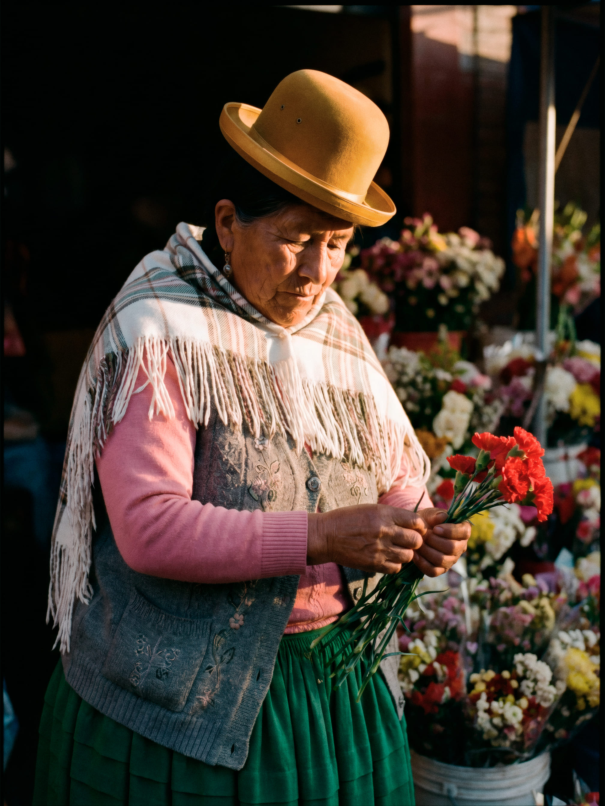 Altiplano - 2